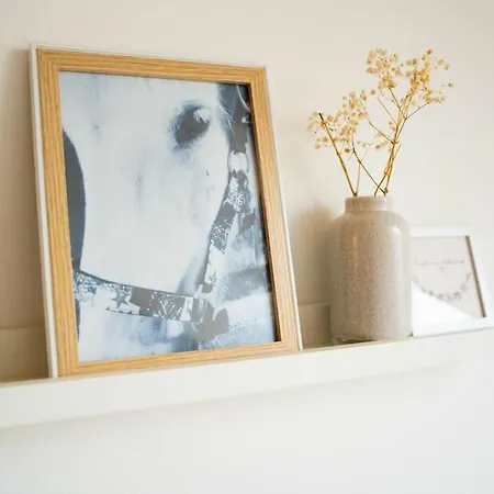 Schlaf-scheune Auf Islandpferdehof Im Gruenen * Steinau an der Strasse