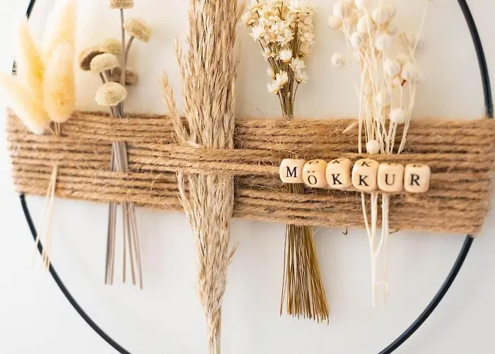 Schlaf-scheune Auf Islandpferdehof Im Gruenen *